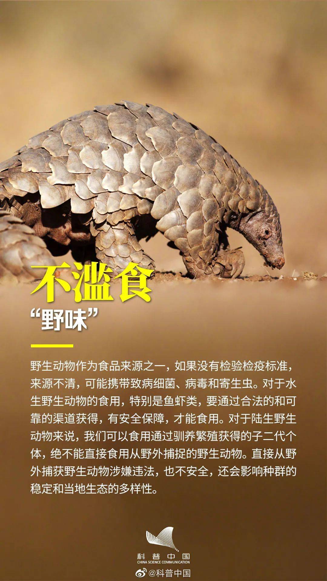 生物多样性