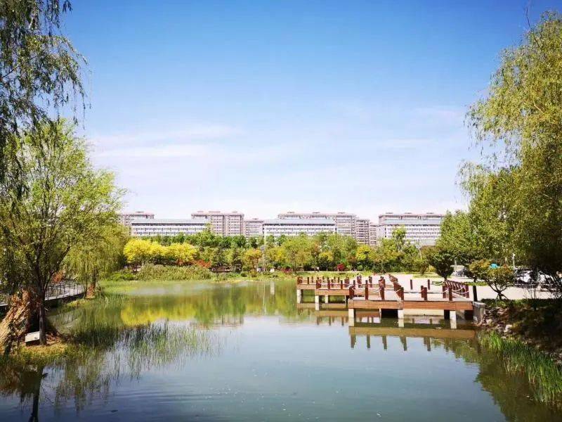 hunan normal university湖南师范大学冬至未至,秋意阑珊.