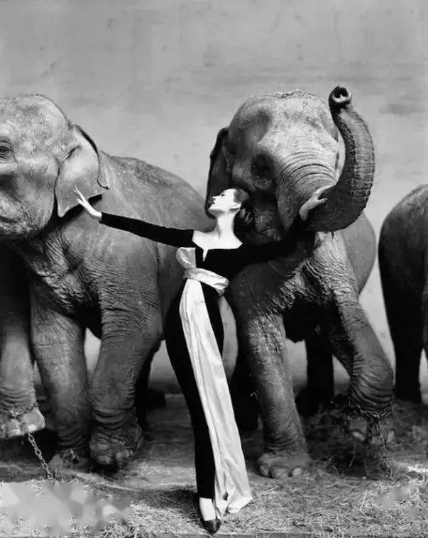 世界顶级摄影师拍的100张经典女性照片优雅又美丽