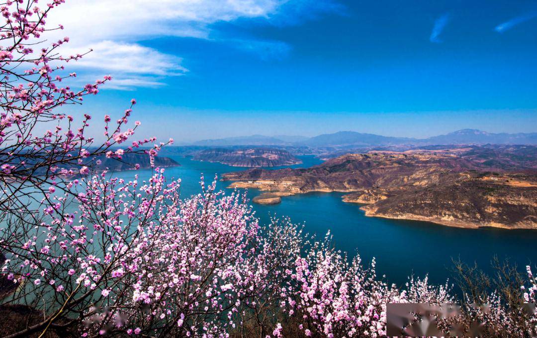 荆紫仙山景区第十届桃花节延迟公告!_黄河_盛宴_朋友