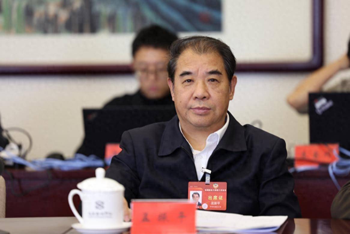 孟振平委员加强城乡配电网建设改造更好保障民生用电