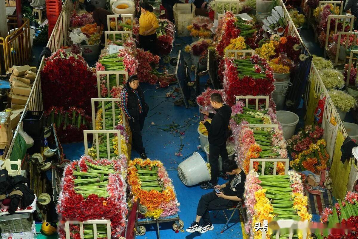 三八国际妇女节将至云南昆明斗南花市鲜花销售火爆