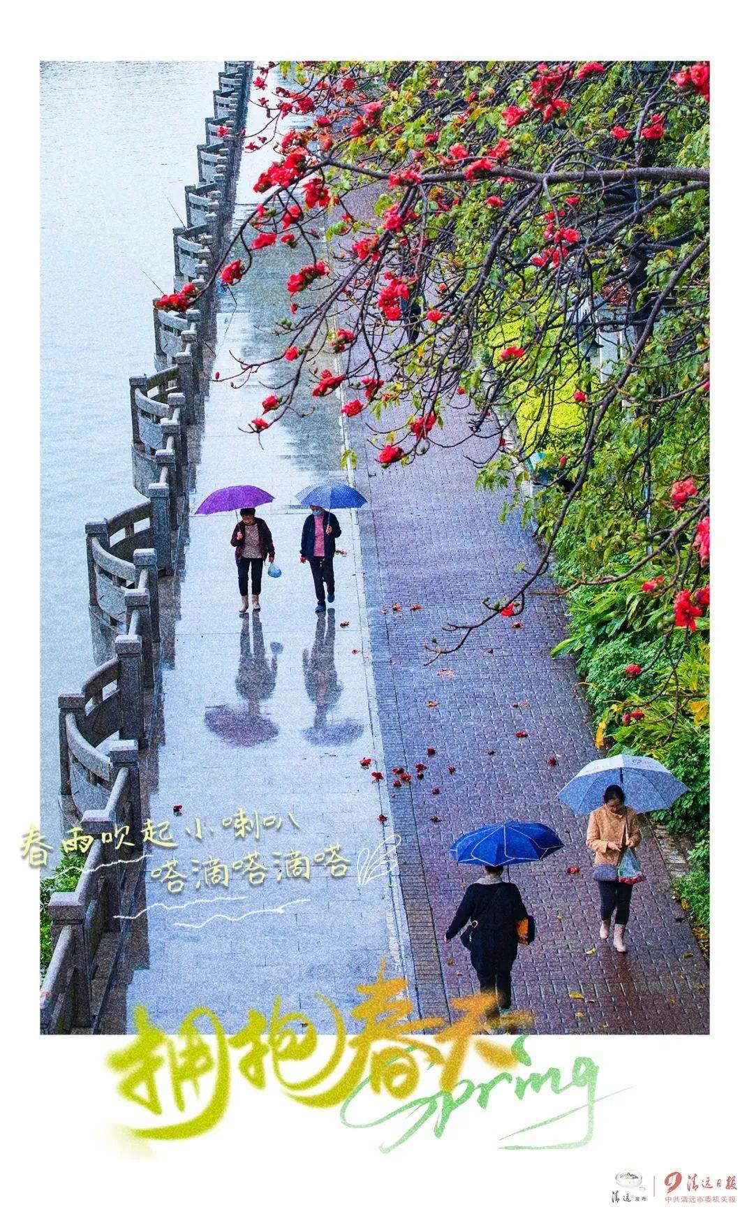 清远首次发布赏花地图26个赏花地打卡不重样