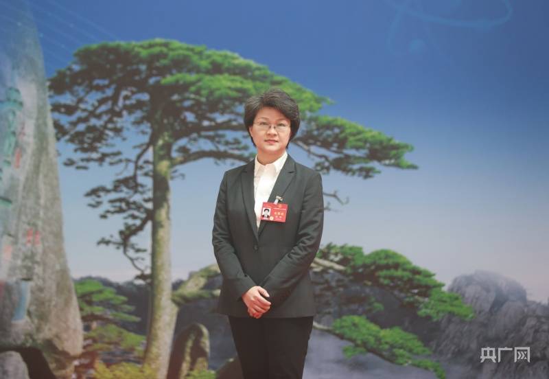 全国人大代表安徽省发展改革委主任陈军推动消费和投资形成经济发展双