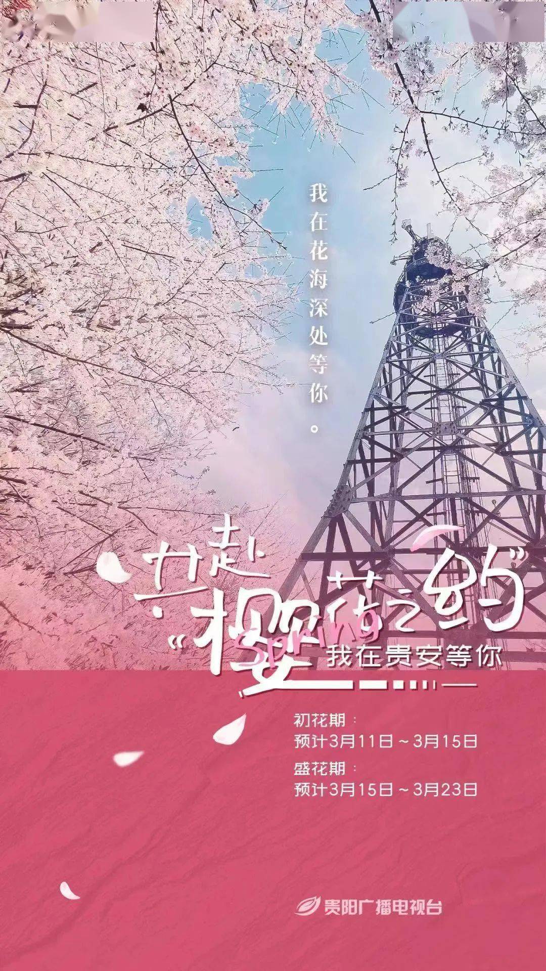 今天是"三八"妇女节祝各位"仙女"节日快乐959595贵安樱花园诚挚