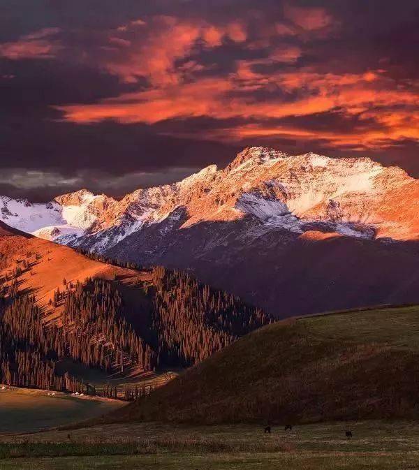 中国8大国家公园让全世界都惊艳