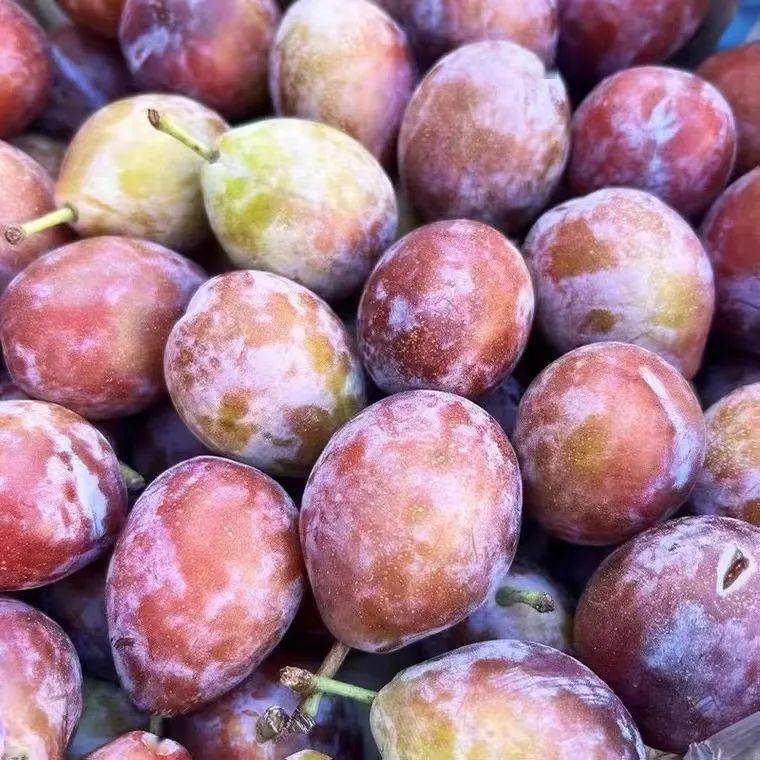 产地食材▎智利西梅它是水果界紫霞仙子琥珀般晶莹剔透入口甜撩人酸