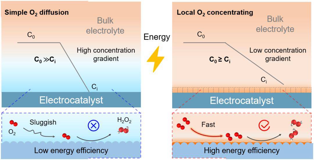 同济团队有重要发现