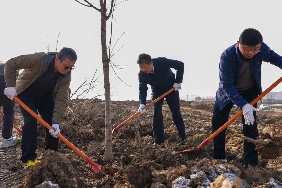 彭涛带领全区领导干部参加义务植树活动