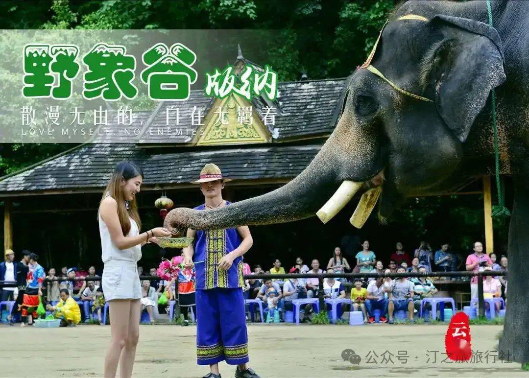 璀璨版纳昆明普洱西双版纳双飞单动六日游