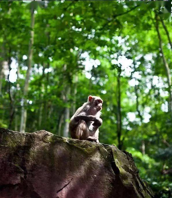 中国8大国家公园让全世界都惊艳