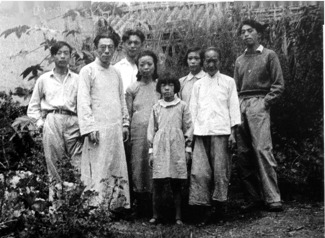 百岁老人一句话撒贝宁当场落泪网友这样的故事不该被遗忘