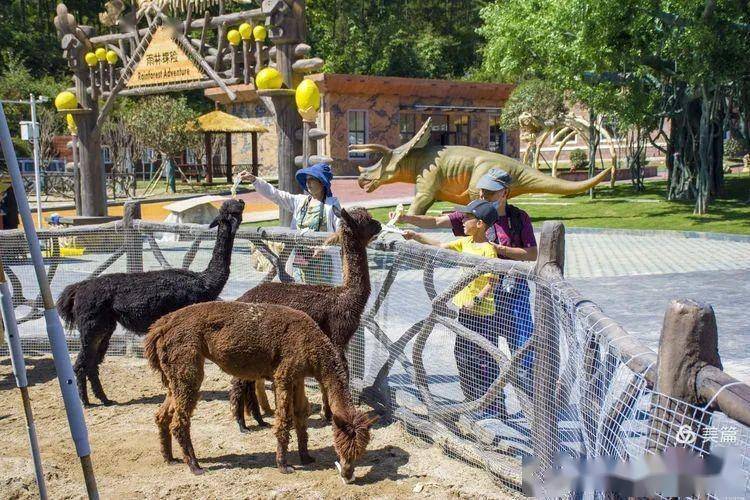 汉中华阳景区门票 观光车仅需69.9元!_秦岭_古镇_乐园