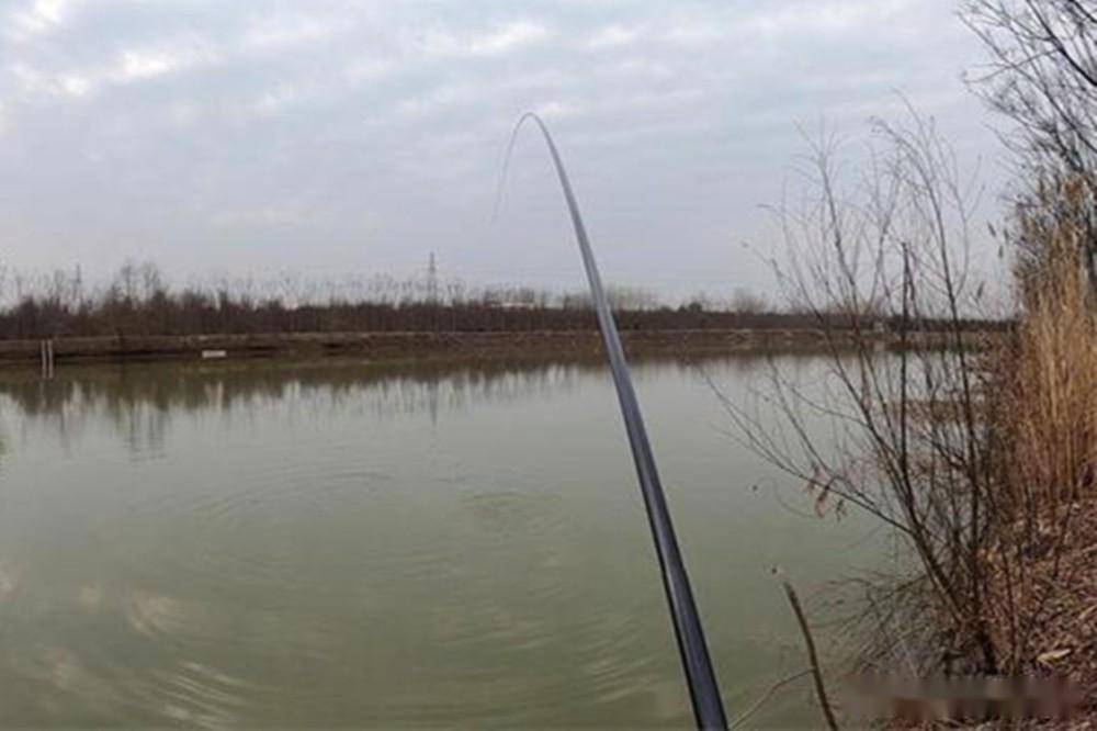 春季野钓技巧:4种特殊钓法盘点,醉眼迷离是春钓_鱼情_食物_草鱼