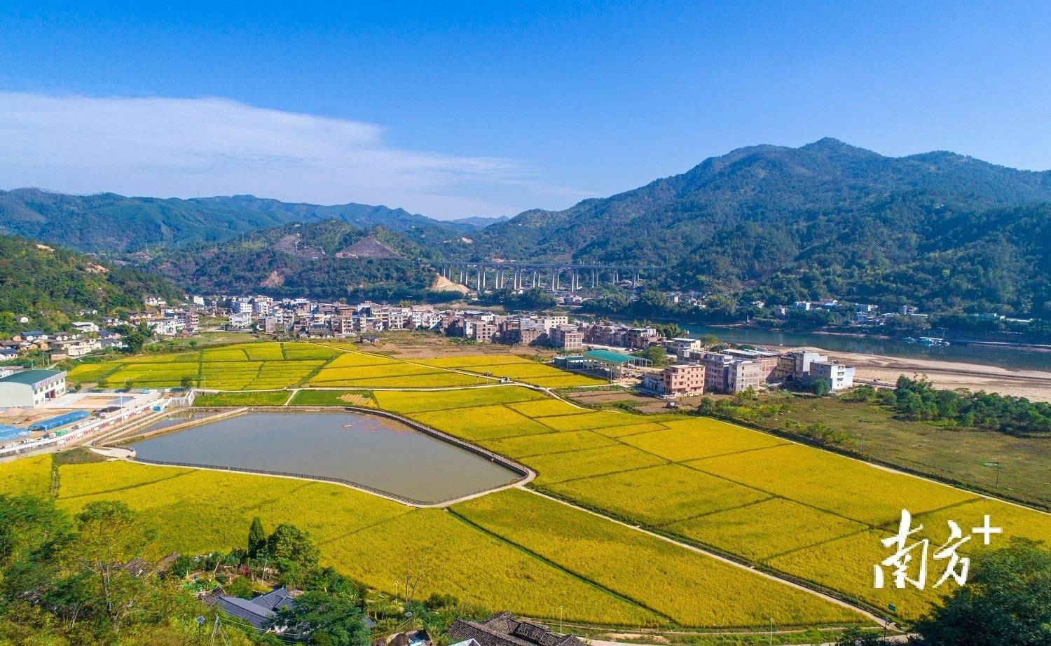 大埔县在爬坡越坎中大步向前十问十策⑦百千万看苏区