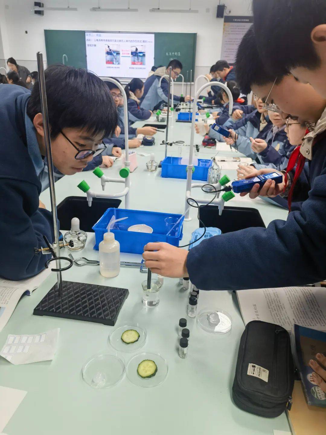 学问课堂盐之有理跨出文化