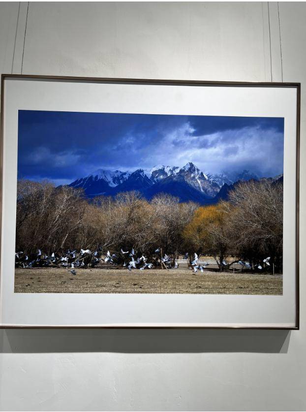 "丝路纪行"———武汉群文摄影采风创作作品展开幕在武汉市群众艺术馆