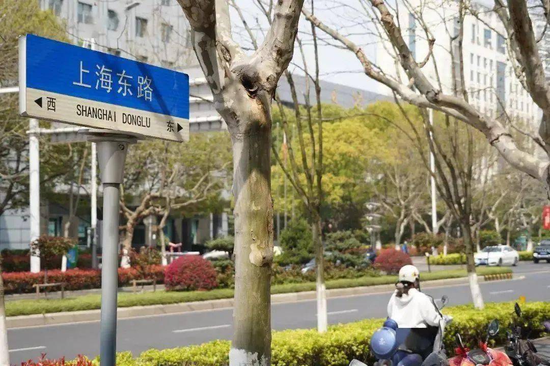 最新太仓这些地名有新变化