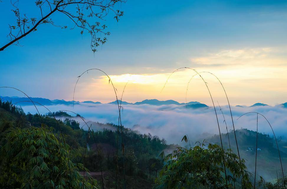 三月天邛崃约你上春山