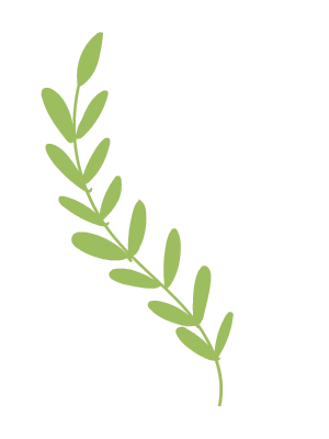 课程树文化游戏促成长