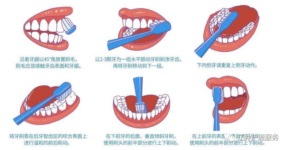 巴氏刷牙法刷牙是最为日常的口腔健康护理手段