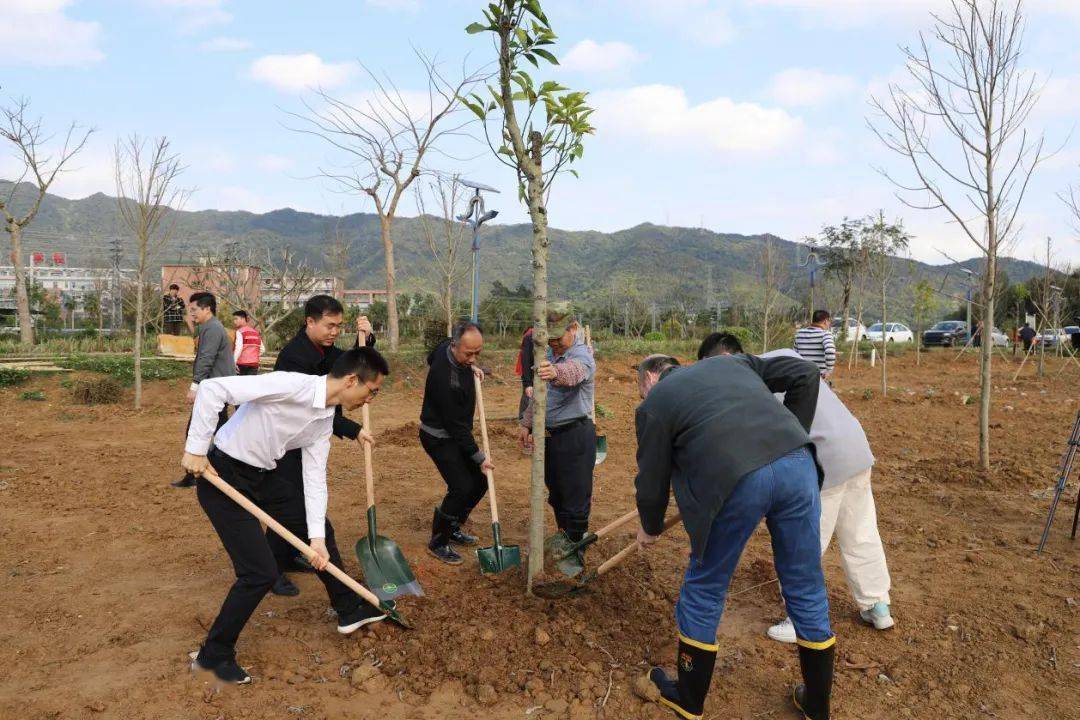 奋战百千万绿美三水我争先南山政企同心共植长青林