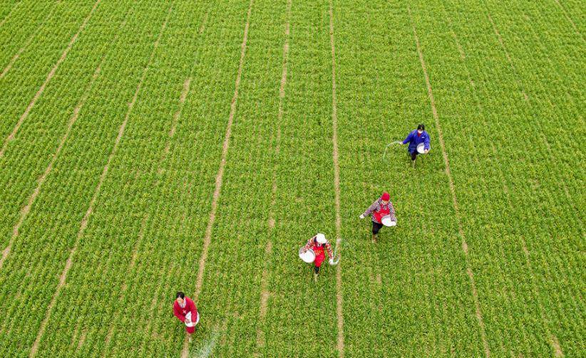 春播里的科技范儿