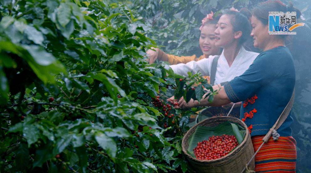 有一种叫云南的生活美好生活在云南丨从心出发描绘多彩答卷