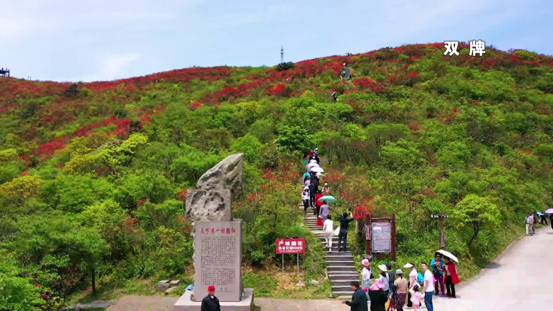 从3月1日起至3月15日,双牌各a级景区开启宠女模式,推出门票减免