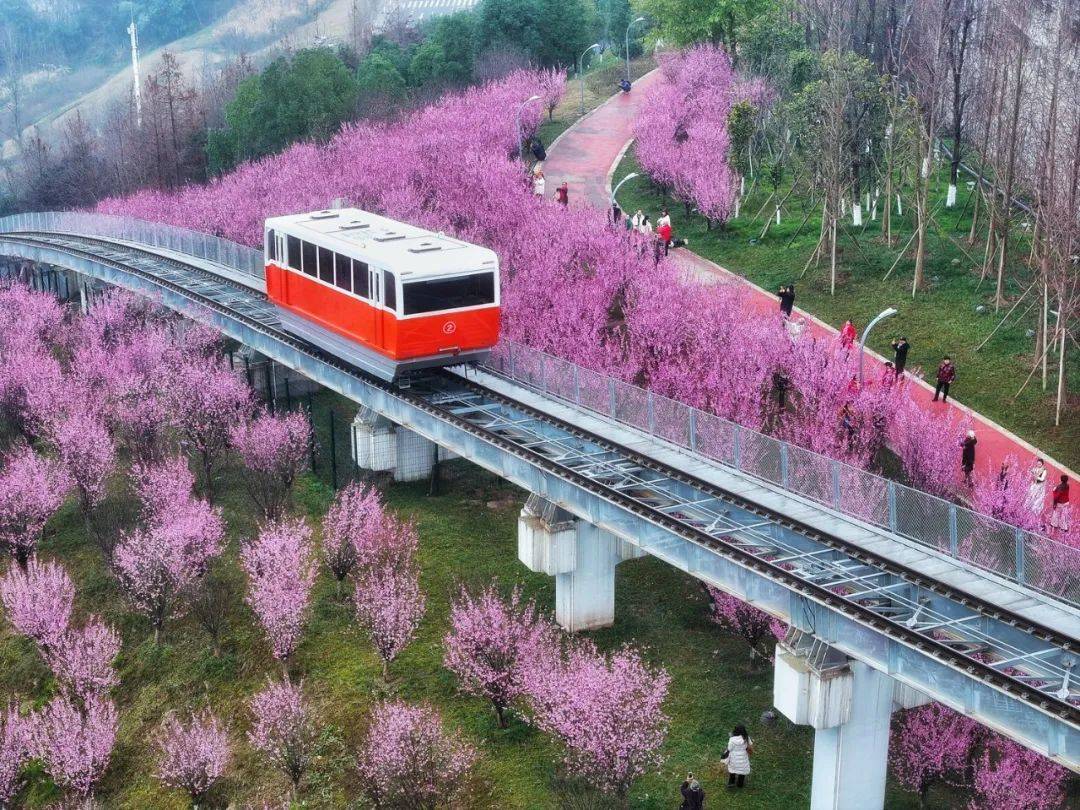重庆瞭望开往春天的列车究竟魅力何在