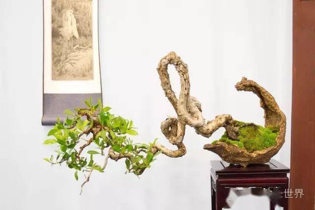 二月二龙抬头鸿运当头