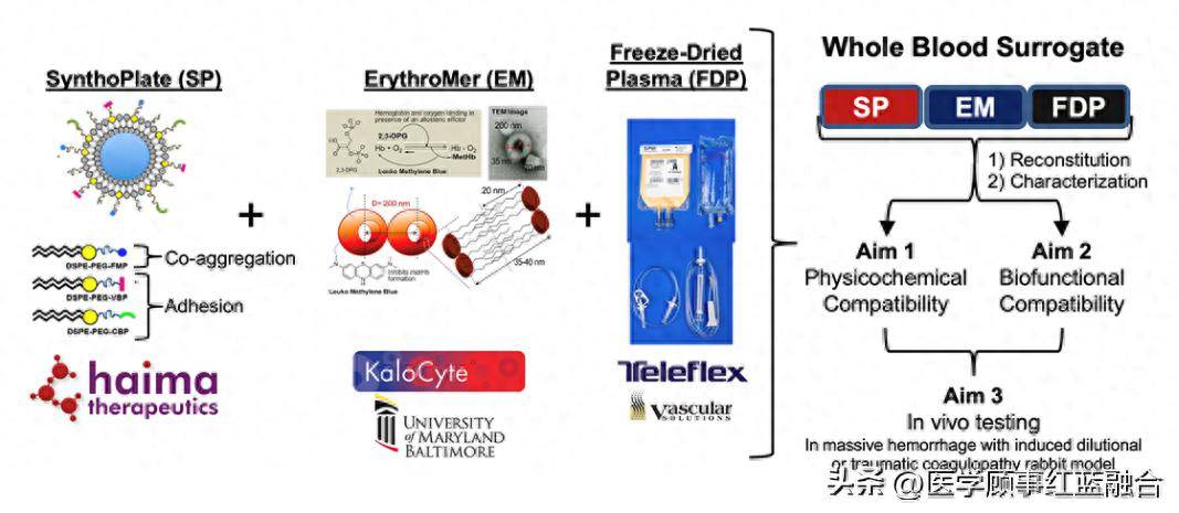 纳米技术赋能生物合成全血替代品