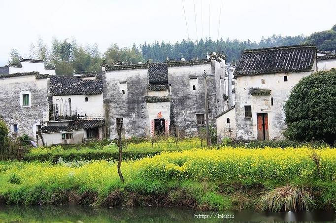 春游江南4思溪延村优雅的土豪金