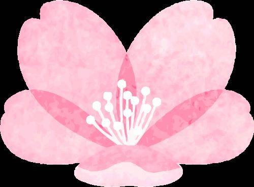 捧当乡召开2024年春季动物防疫工作动员大会_畜牧_粪污_个人行为