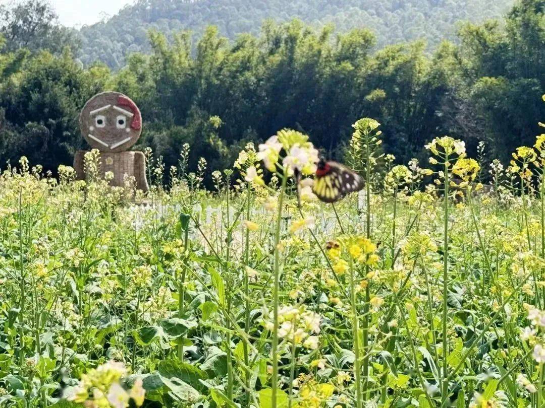 中山春日赏花地图出炉内有智能音箱花海门票大派送