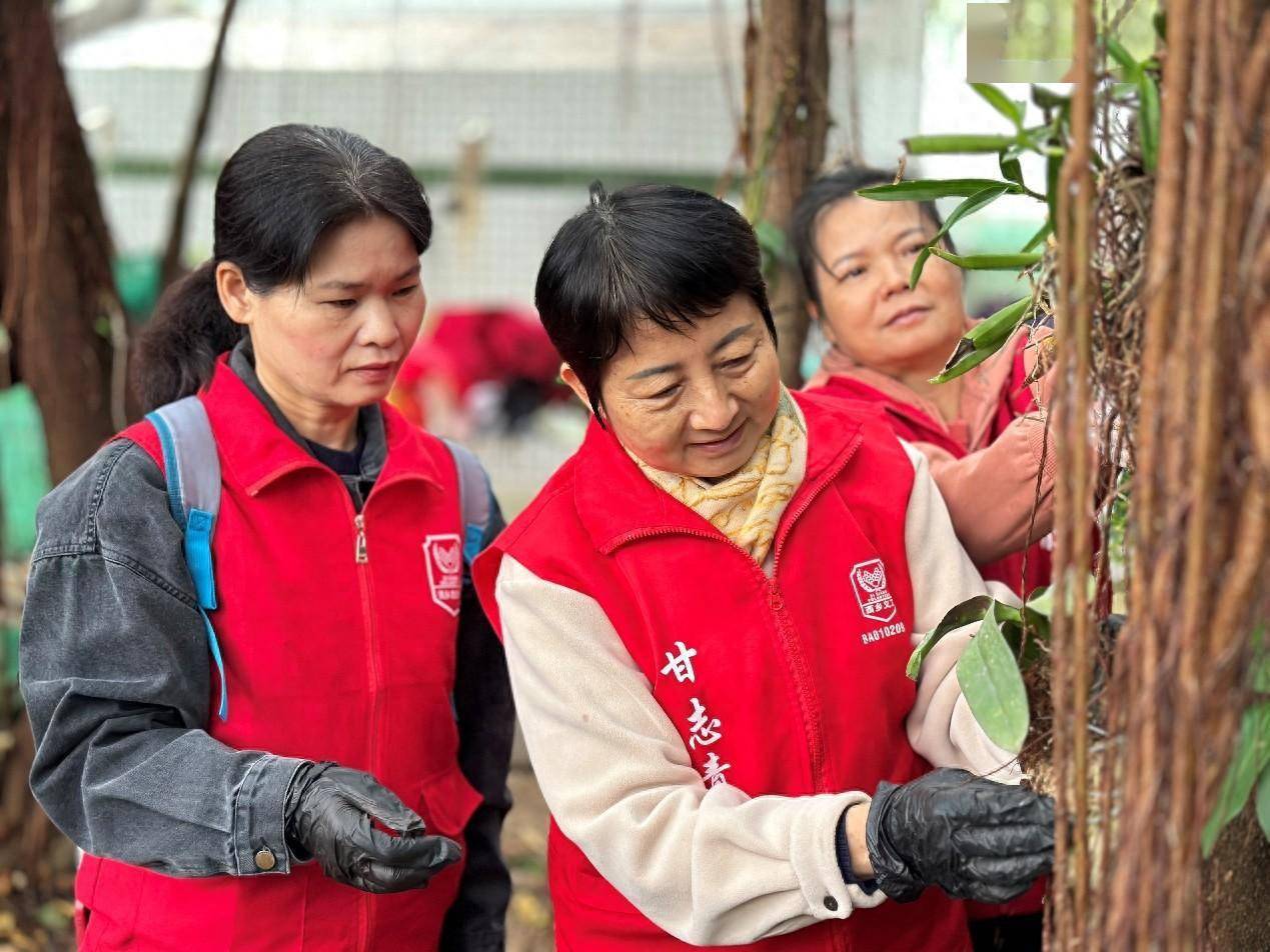 植根希望绘就兰图西乡街道开展植树节科普活动