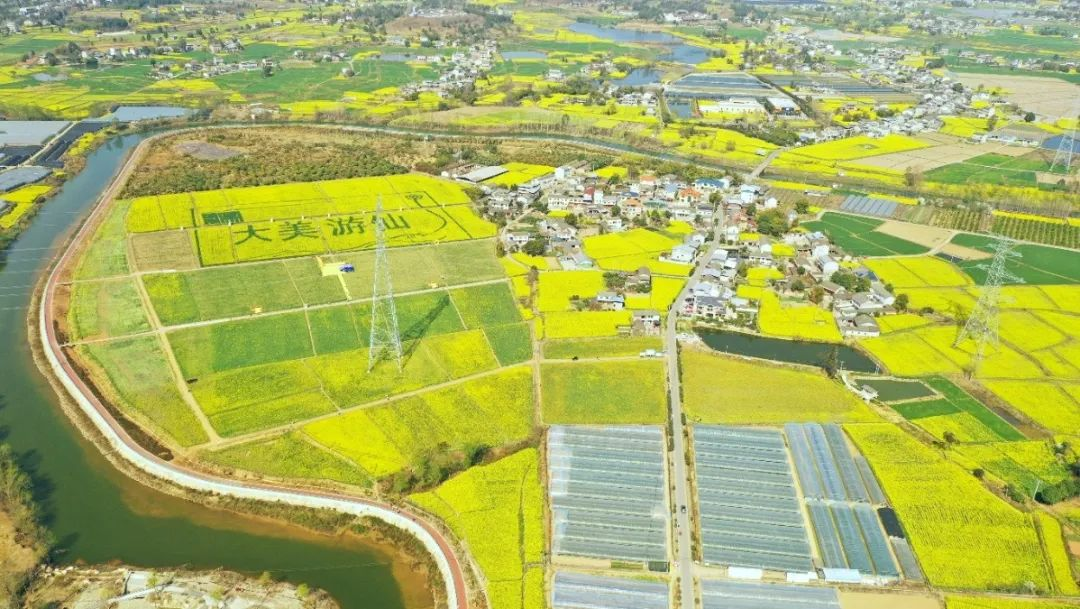 仙湖庄园火锅,杨肥肠火锅,云凤乌鱼周边景点:街子驿站,富乐花乡,月畔