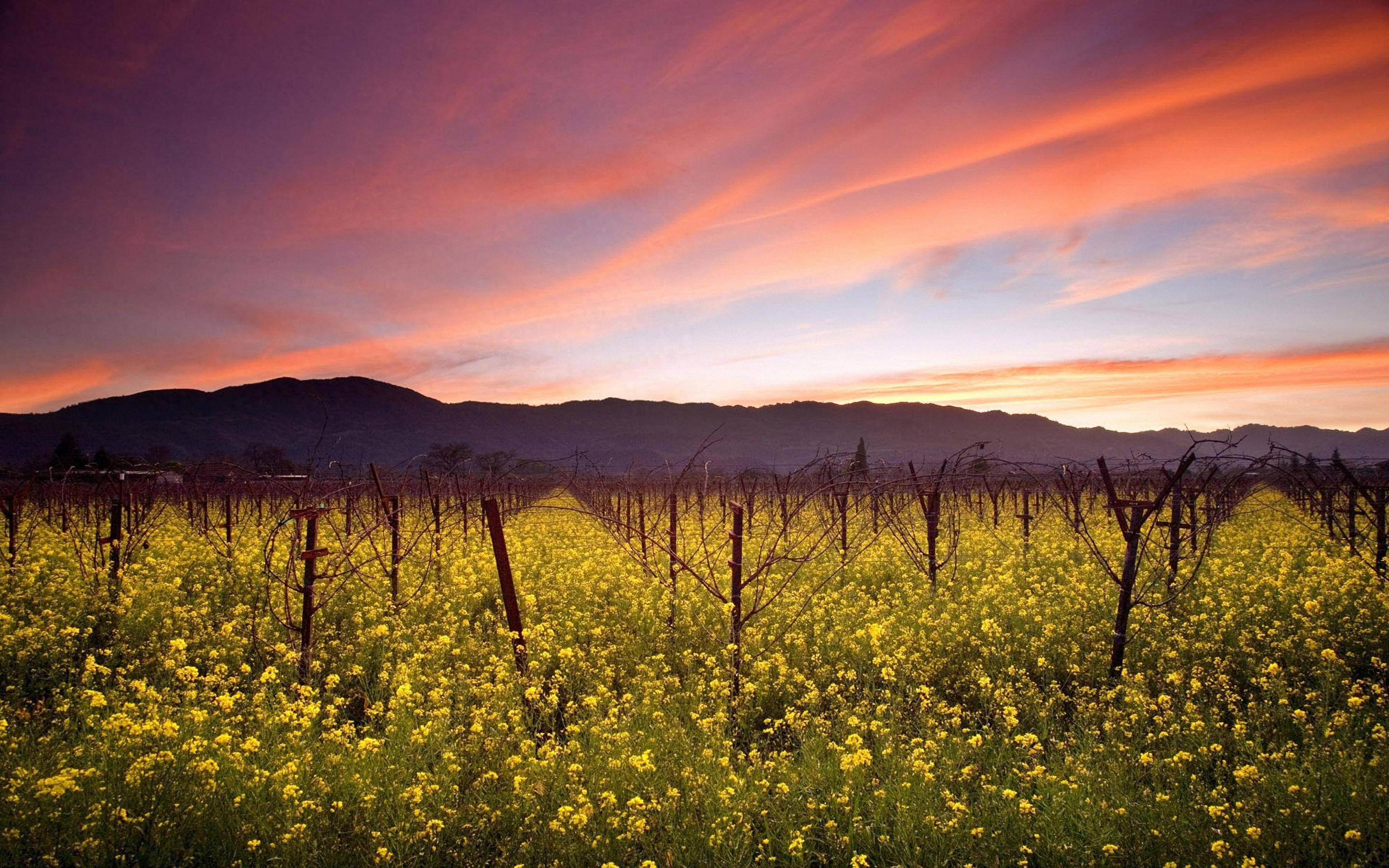 女人和不爱的男人在一起才会有这四个本能反应
