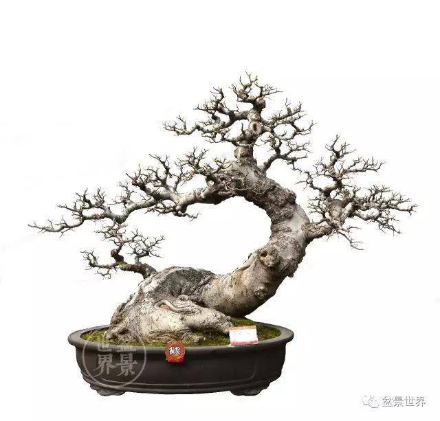 二月二龙抬头鸿运当头