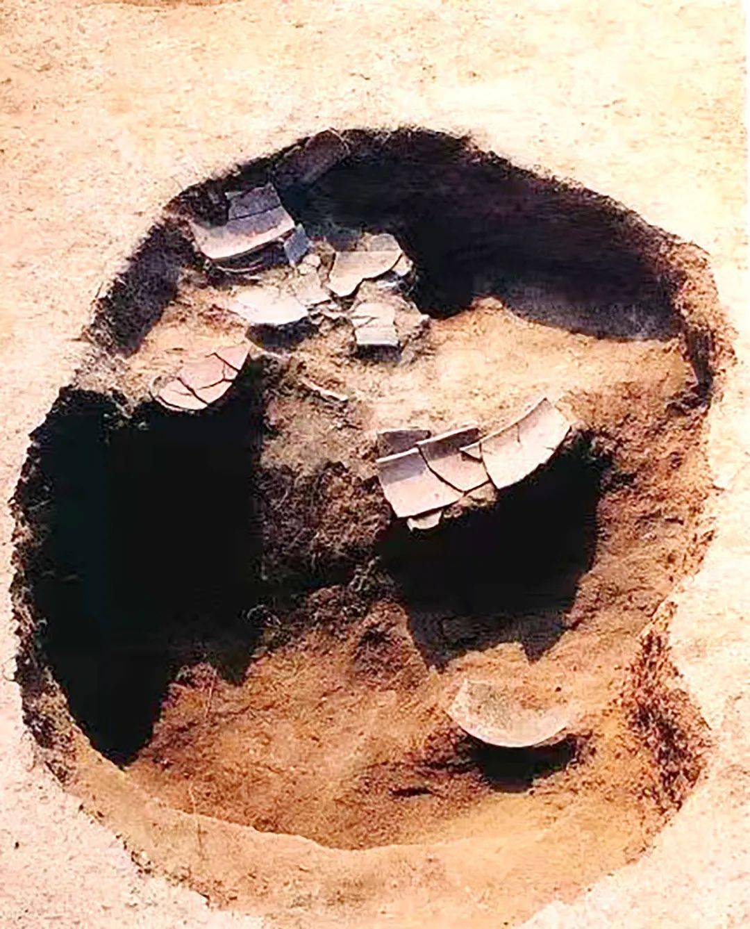 草茂知獐健,巢新觉燕忙.兴阑归亦好,袖手独焚香.