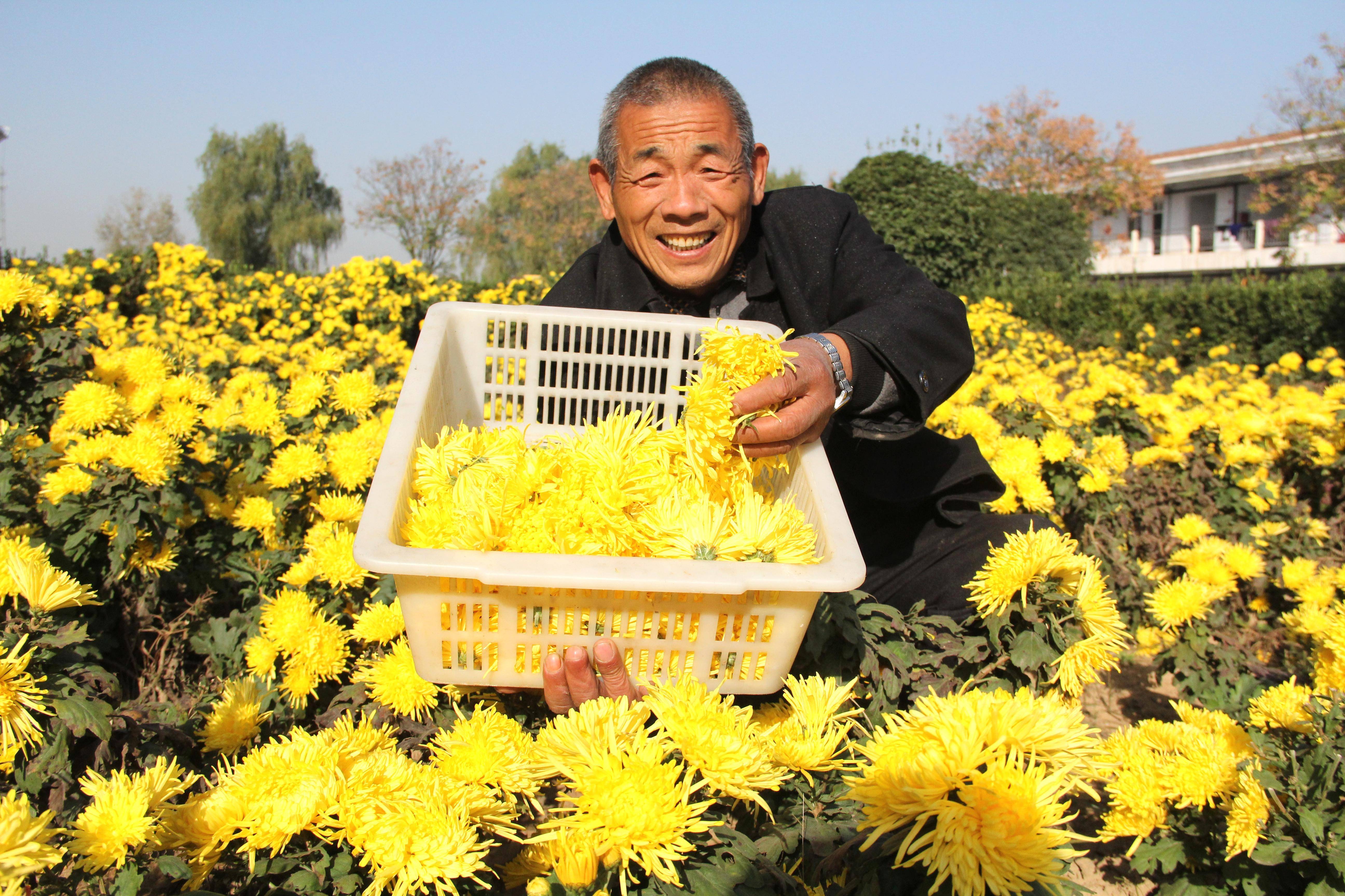 3月8日,进入永城市龙岗镇,一条颇具特色的宣传语"河南