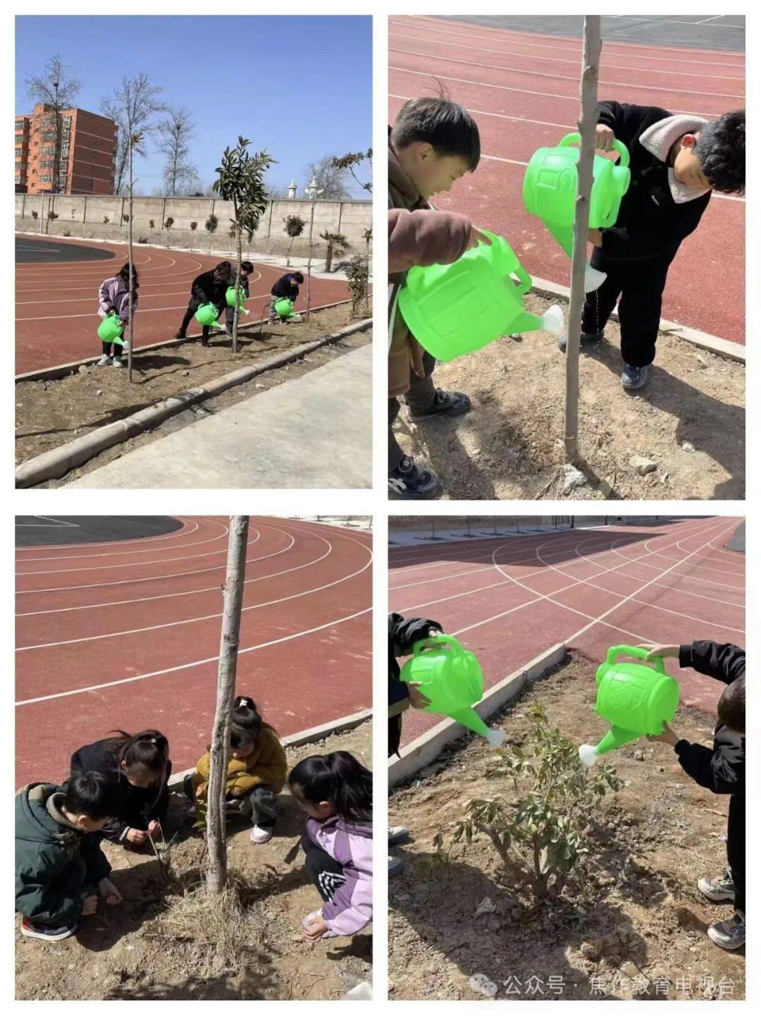 浇浇水活动中,老师向孩子们介绍"植树节"的来历,意义和爱护小树苗的