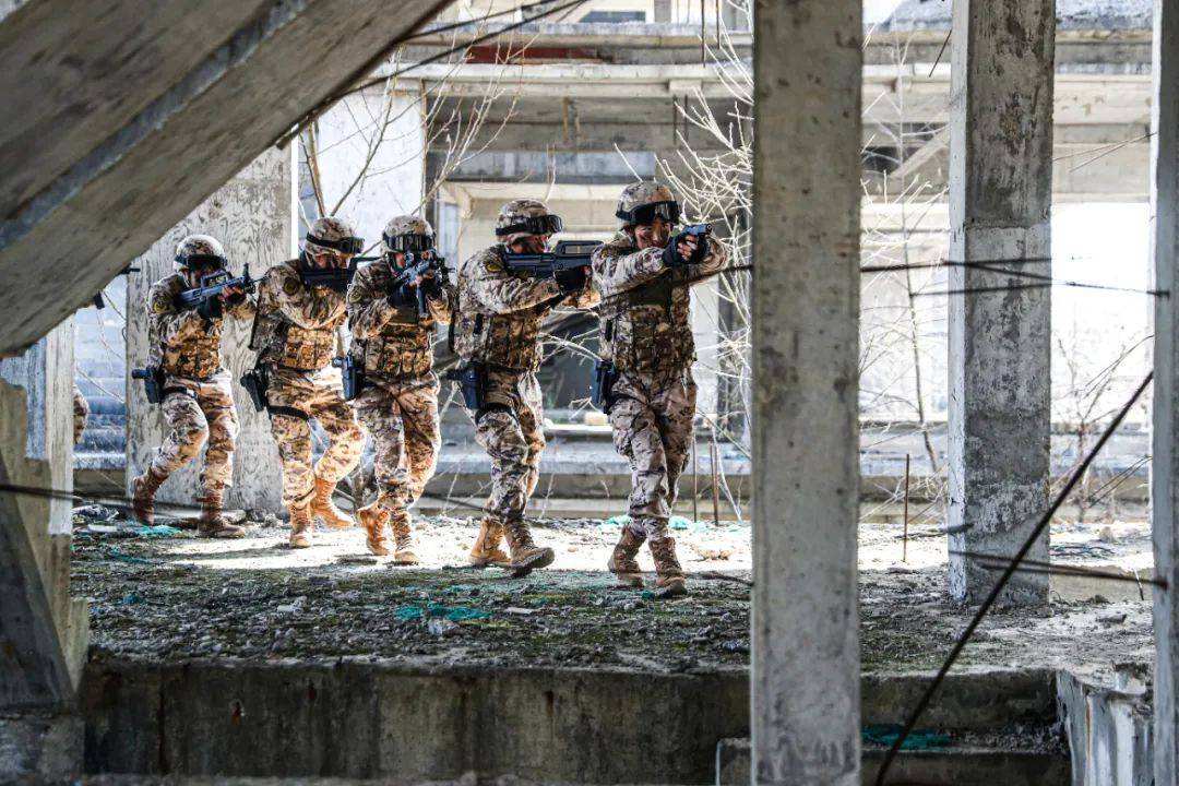 实战标准锤炼反恐利刃