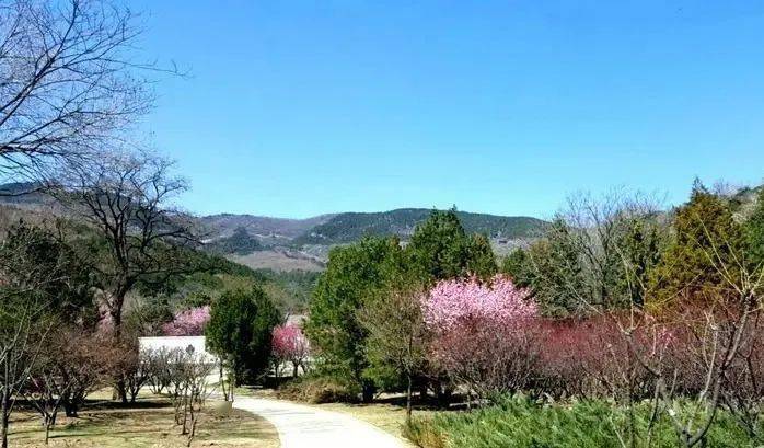 樱桃沟与退谷周家花园