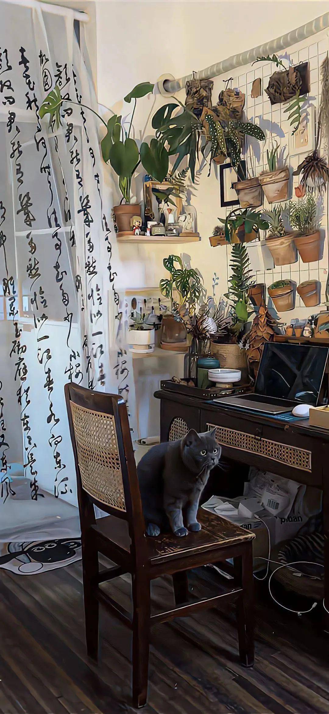 壁纸私藏小众高级感ins风壁纸