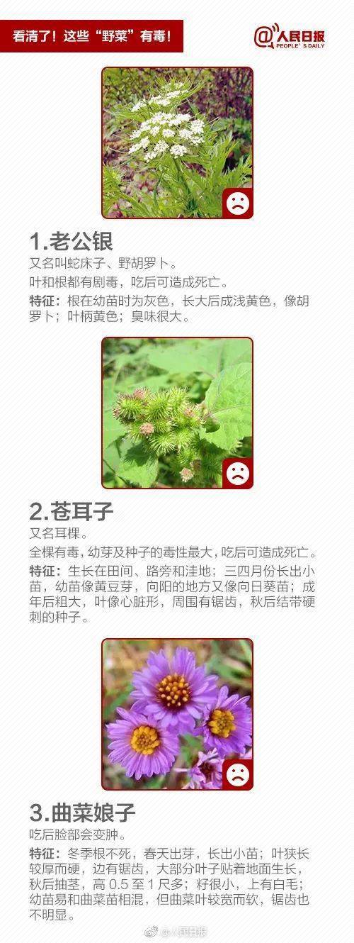 食用_有毒_植物
