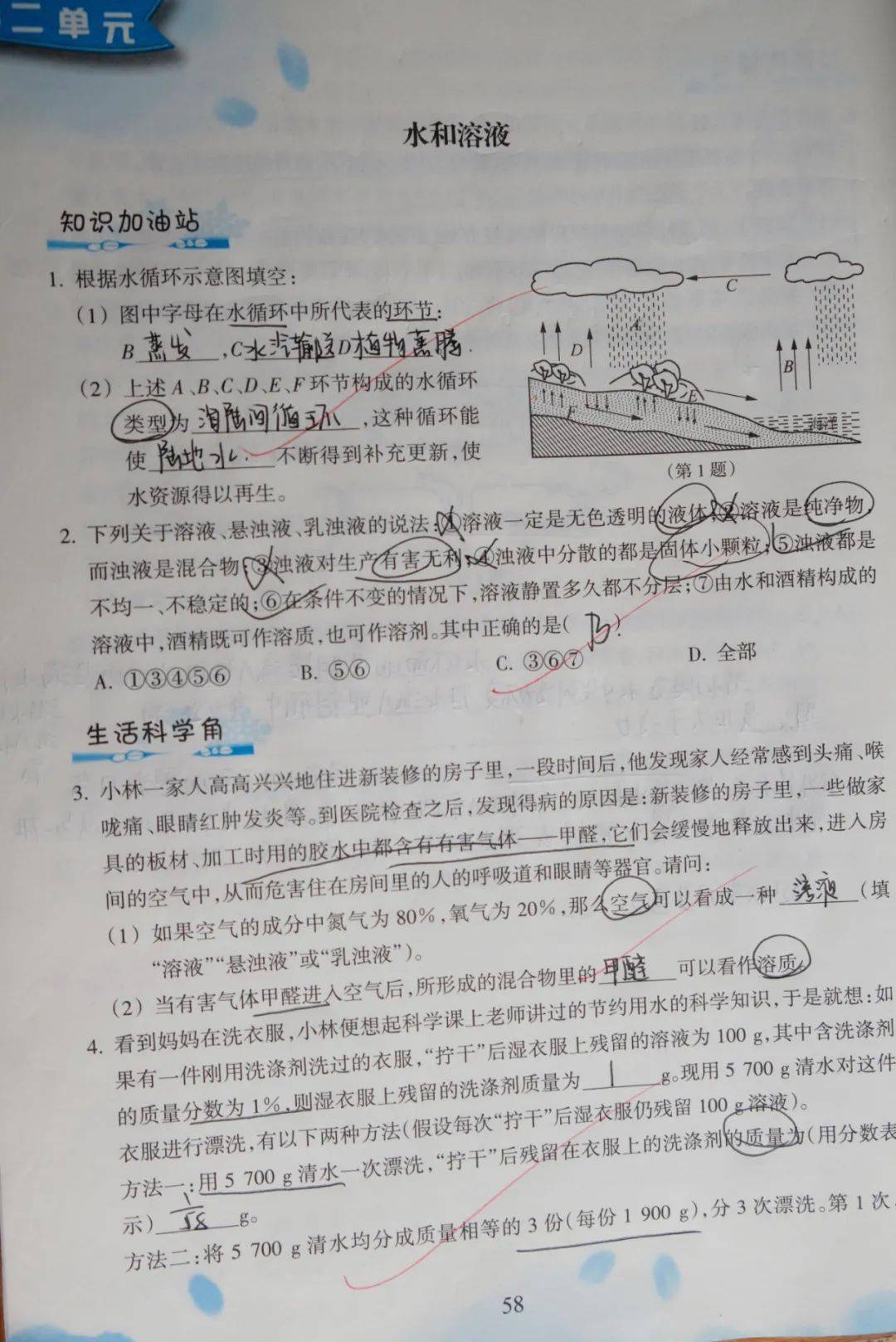 九年级的寒假作业手抄报富有创意,体现了新课标的要求"运用学科知识
