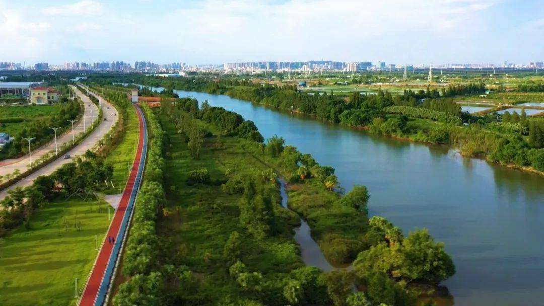 百千万工程回顾推进绿美新会建设打造人与自然和谐共生的新会样板