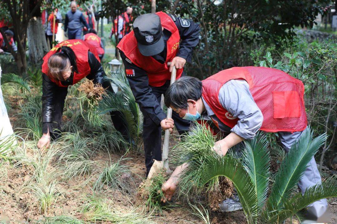 三月春光至植树添绿时