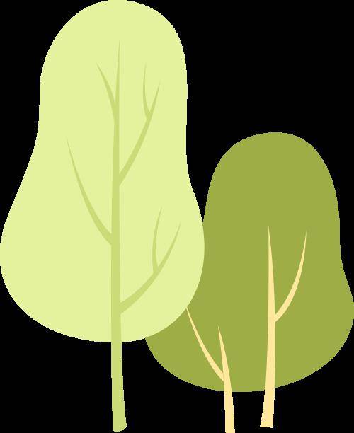 植护绿色校园共建美丽中国泉州五中开展2024年植树节劳动实践活动